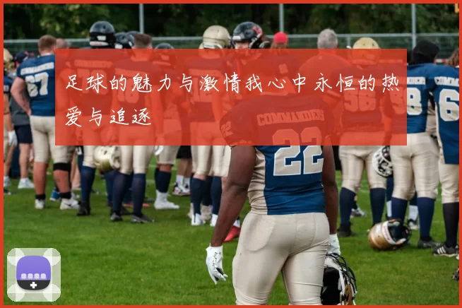 足球的魅力与激情我心中永恒的热爱与追逐