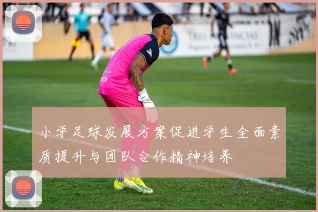 小学足球发展方案促进学生全面素质提升与团队合作精神培养